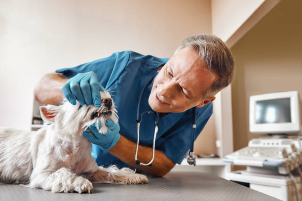 Best Pediatric Emergency Dentist in Mcguire Af, NJ